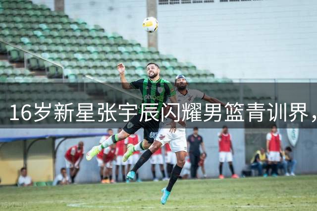 16岁新星张宇辰闪耀男篮青训界，获称"中国库里